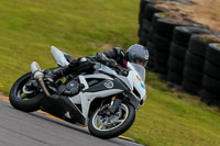 PJM-Photography;anglesey-no-limits-trackday;anglesey-photographs;anglesey-trackday-photographs;enduro-digital-images;event-digital-images;eventdigitalimages;no-limits-trackdays;peter-wileman-photography;racing-digital-images;trac-mon;trackday-digital-images;trackday-photos;ty-croes